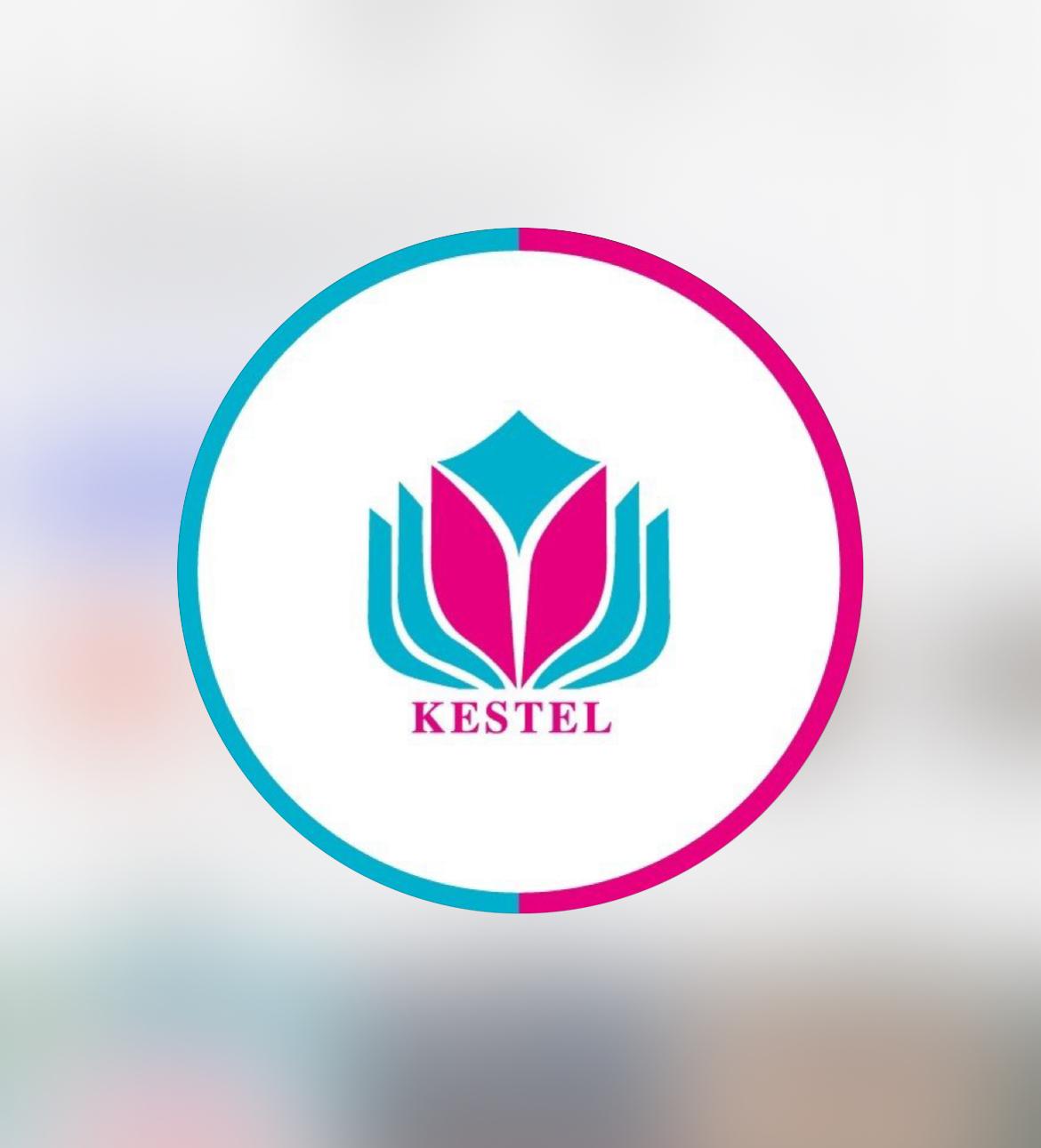 ÖZEL KESTEL KÜLTÜR OKULLARI