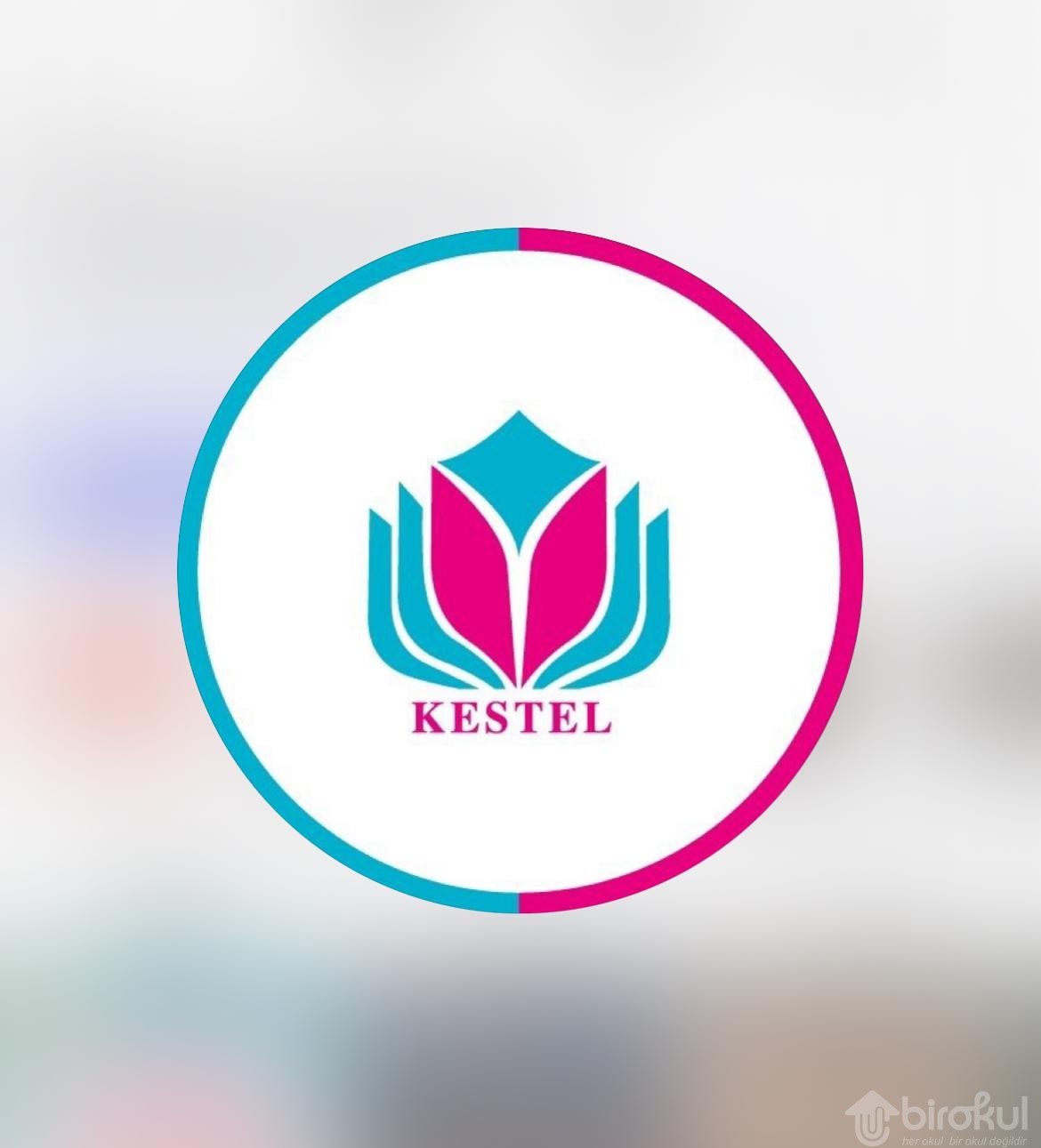 ÖZEL KESTEL KÜLTÜR OKULLARI - Fotoğraf 3