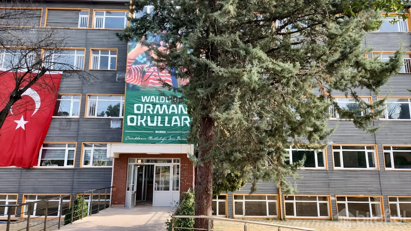 WALDORF ORMAN OKULLARI BURSA KAMPUSU - Ortaokul