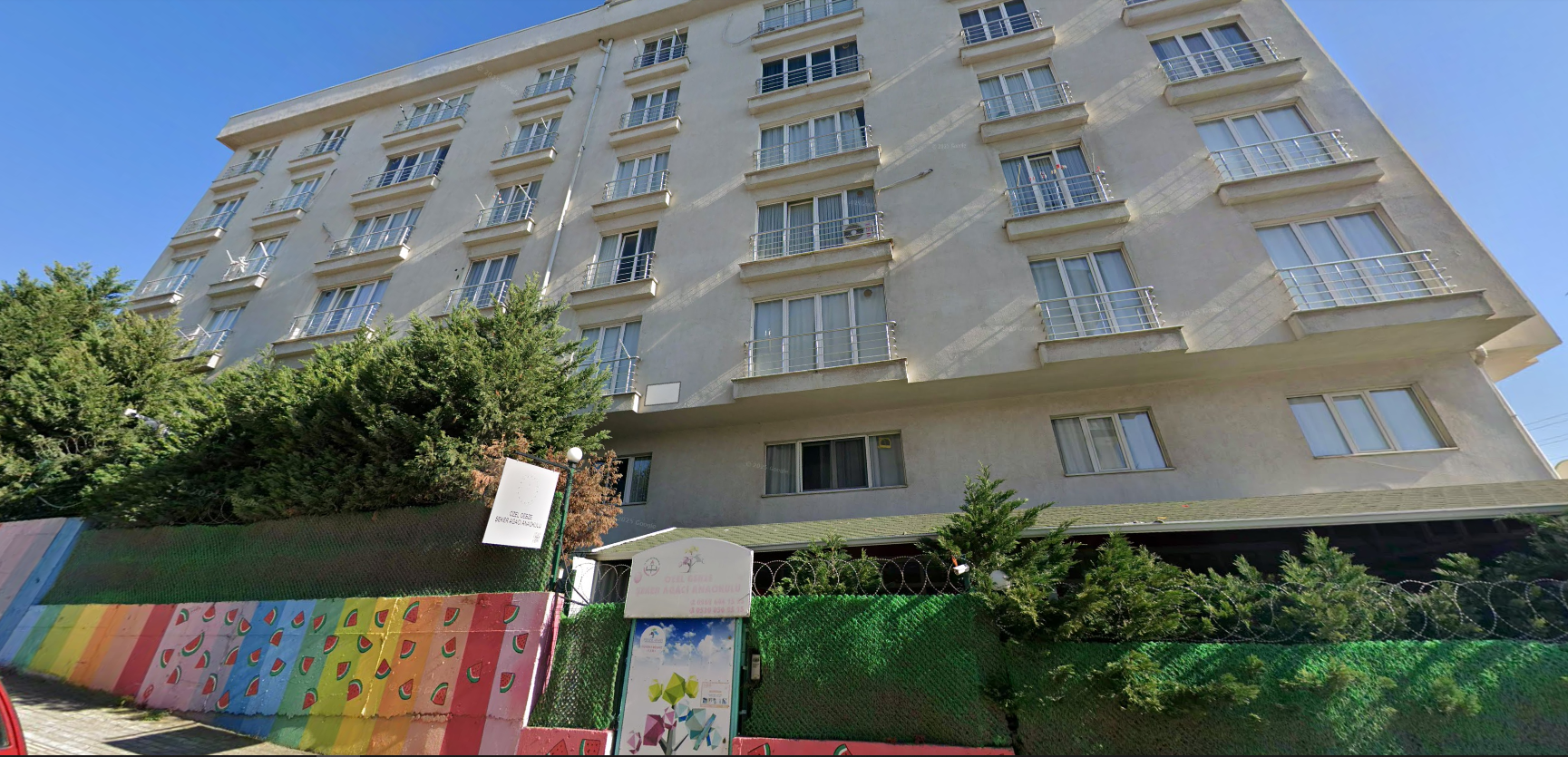 Özel Gebze Şeker Ağacı